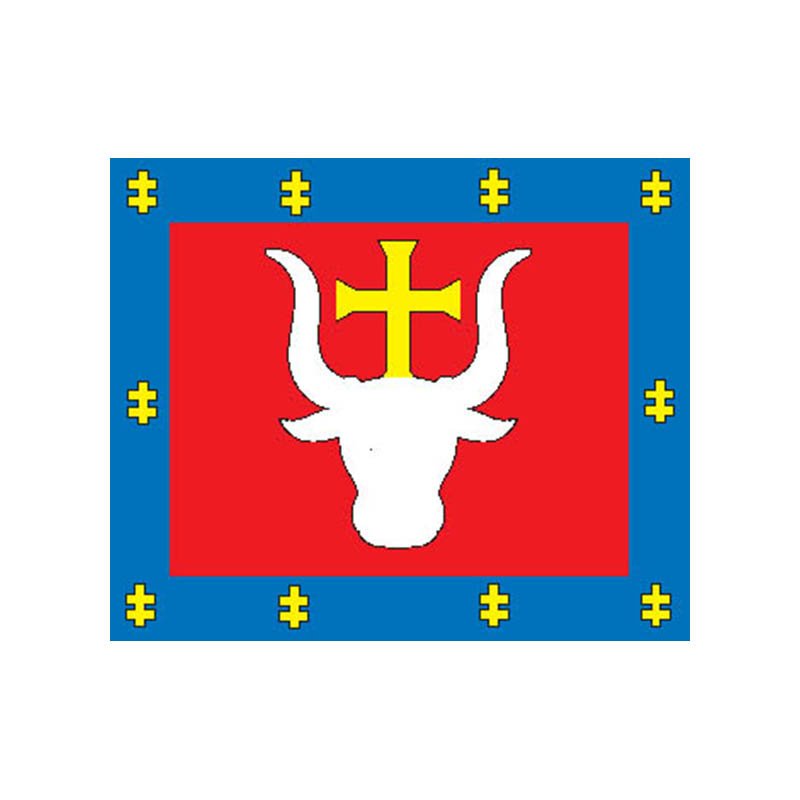 Kaunas County Flag N6164 A4 Photo Print