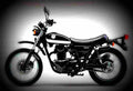 Kawasaki 250 TR 250cc 5 motorbike A4 Photo Print