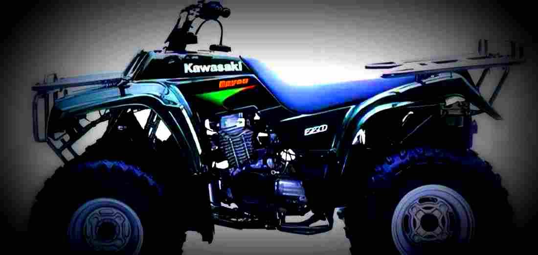 Kawasaki BAYOU 220 2000 1 600x284 motorbike A4 Photo Print