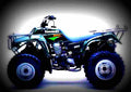 Kawasaki BAYOU 220 2000 1 motorbike A4 Photo Print