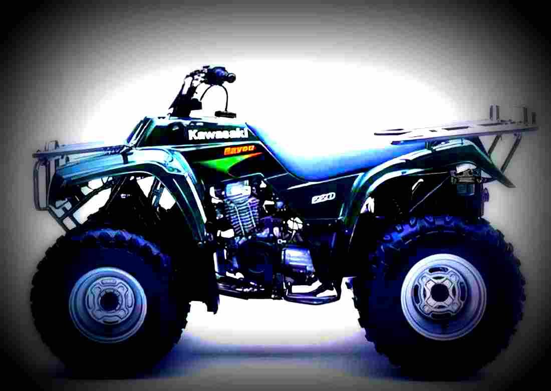 Kawasaki BAYOU 220 2000 1 motorbike A4 Photo Print