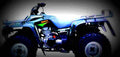 Kawasaki BAYOU 300 4x2 2000 1 600x284 motorbike A4 Photo Print