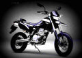 Kawasaki D tracker 250 D tracker 250 6 motorbike A4 Photo Print