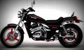 Kawasaki EL 250 1992 1 motorbike A4 Photo Print