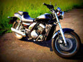 Kawasaki EL 252 Eliminator 2001 3 motorbike A4 Photo Print