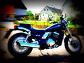 Kawasaki EL 252 Eliminator 2001 5 motorbike A4 Photo Print
