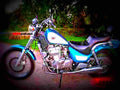 Kawasaki EN 500 1995 2 motorbike A4 Photo Print