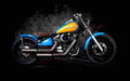 Kawasaki EN 500 1998 2 motorbike A4 Photo Print