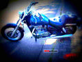 Kawasaki EN 500 2002 3 motorbike A4 Photo Print