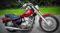 Kawasaki EN 500 (reduced effect) 1992 3 motorbike A4 Photo Print