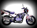Kawasaki ER 5 1997 5 motorbike A4 Photo Print