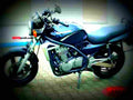 Kawasaki ER 5 2004 1 motorbike A4 Photo Print