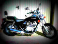 Kawasaki Eliminator 125 1999 5 motorbike A4 Photo Print