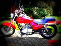 Kawasaki Eliminator 125 2000 1 motorbike A4 Photo Print