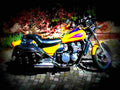 Kawasaki Eliminator 600 1998 5 motorbike A4 Photo Print