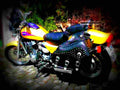 Kawasaki Eliminator 600 1998 6 motorbike A4 Photo Print