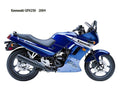 Kawasaki GPX250 2004 motorbike A4 Photo Print
