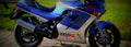 Kawasaki GPZ 1000 RX 1987 1 800x284 motorbike A4 Photo Print