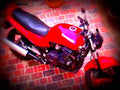 Kawasaki GPZ 1100 1998 1 motorbike A4 Photo Print