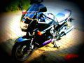 Kawasaki GPZ 1100 ABS 1996 4 motorbike A4 Photo Print
