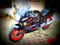 Kawasaki GPZ 1100 (reduced effect) 1987 3 motorbike A4 Photo Print