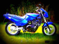 Kawasaki GPZ 305 Belt Drive 1990 6 motorbike A4 Photo Print