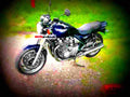 Kawasaki GPZ 305 Belt Drive (reduced effect) 1989 5 motorbike A4 Photo Print