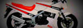 Kawasaki GPZ 500 S 1987 1 825x284 motorbike A4 Photo Print