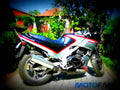 Kawasaki GPZ 500 S 1992 3 motorbike A4 Photo Print