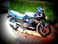 Kawasaki GPZ 500 S (reduced effect) 1990 5 motorbike A4 Photo Print
