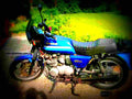 Kawasaki GPZ 550 1988 6 motorbike A4 Photo Print