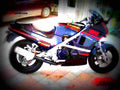 Kawasaki GPZ 600 R 1987 3 motorbike A4 Photo Print