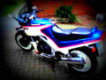 Kawasaki GPZ 600 R (reduced effect) 1986 6 motorbike A4 Photo Print