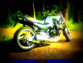 Kawasaki GPZ 600 R (reduced effect) 1987 4 motorbike A4 Photo Print