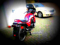 Kawasaki GPZ 750 1986 3 motorbike A4 Photo Print