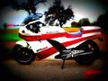Kawasaki GPZ 900 R (reduced effect) 1985 2 motorbike A4 Photo Print