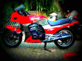 Kawasaki GPZ 900 R (reduced effect) 1988 6 motorbike A4 Photo Print