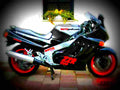 Kawasaki GPZ 900 R (reduced effect) 1990 5 motorbike A4 Photo Print