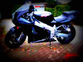 Kawasaki GPZ 900 R (reduced effect) 1991 2 motorbike A4 Photo Print