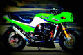 Kawasaki GPZ 900 R (reduced effect) 1992 3 motorbike A4 Photo Print