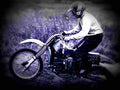 Kawasaki KDX 175 1981 5 motorbike A4 Photo Print