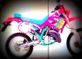 Kawasaki KDX 250 KDX 250 SR 2 motorbike A4 Photo Print