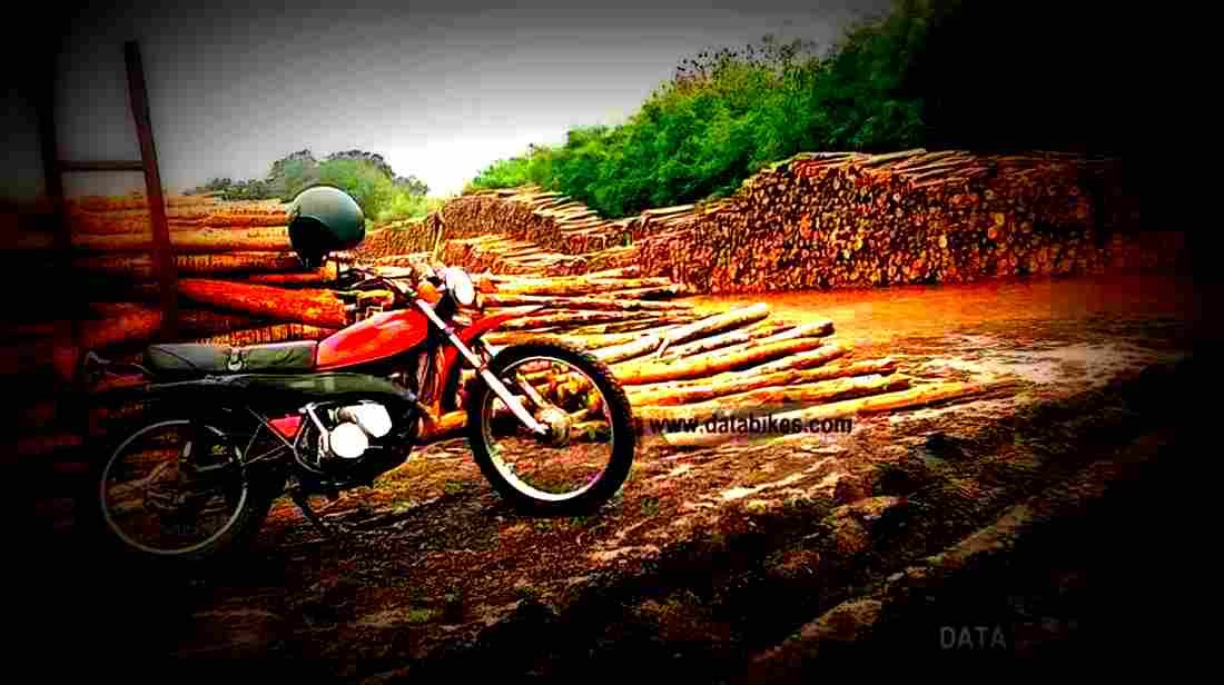 Kawasaki KE 125 1983 5 motorbike A4 Photo Print