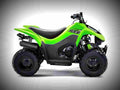 Kawasaki KFX50 2017 1 motorbike A4 Photo Print
