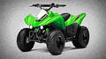 Kawasaki KFX90 2017 1 motorbike A4 Photo Print