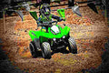 Kawasaki KFX90 2017 2 motorbike A4 Photo Print