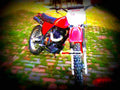 Kawasaki KL 250 1982 1 motorbike A4 Photo Print