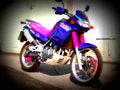 Kawasaki KLE 500 1992 2 motorbike A4 Photo Print
