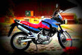 Kawasaki KLE 500 1996 3 motorbike A4 Photo Print