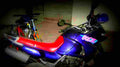 Kawasaki KLE 500 1996 5 motorbike A4 Photo Print